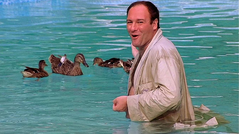 James Gandolfini as Tony Soprano, in his swimming pool with ducks and very happy about it