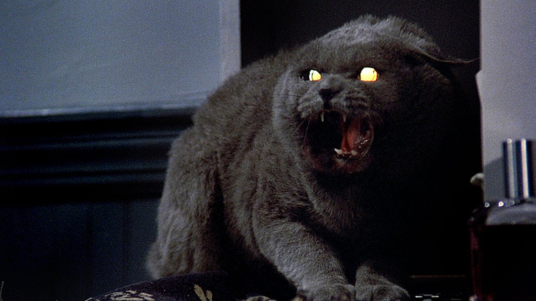 Pet Sematary 1989