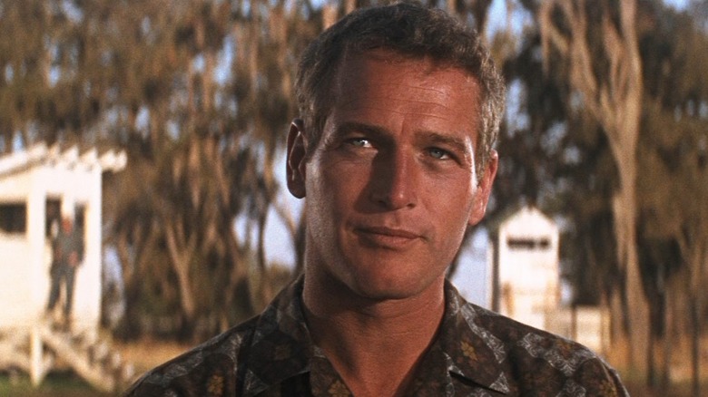 Paul Newman, Mão Legal Luke