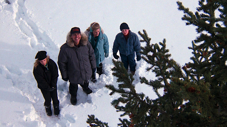 Juliette Lewis, Chevy Chase, Beverly D'Angelo, and Johnny Galecki stare up at a giant pine tree in National Lampoon's Christmas Vacation