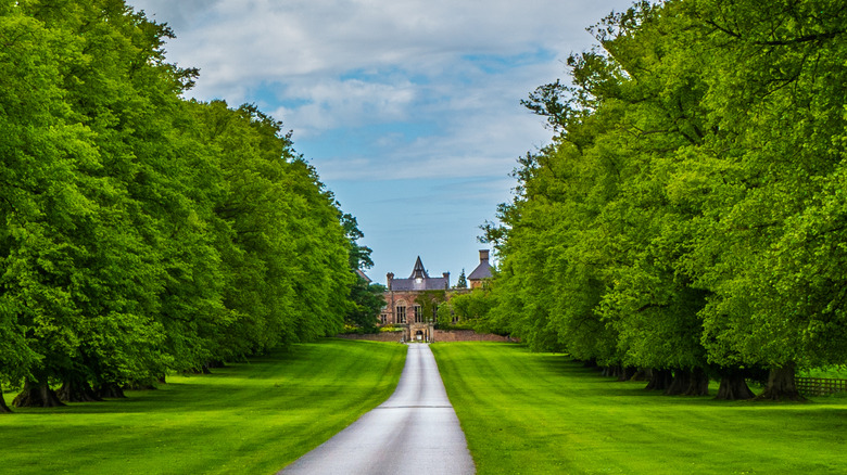 Soughton Hall at a distance