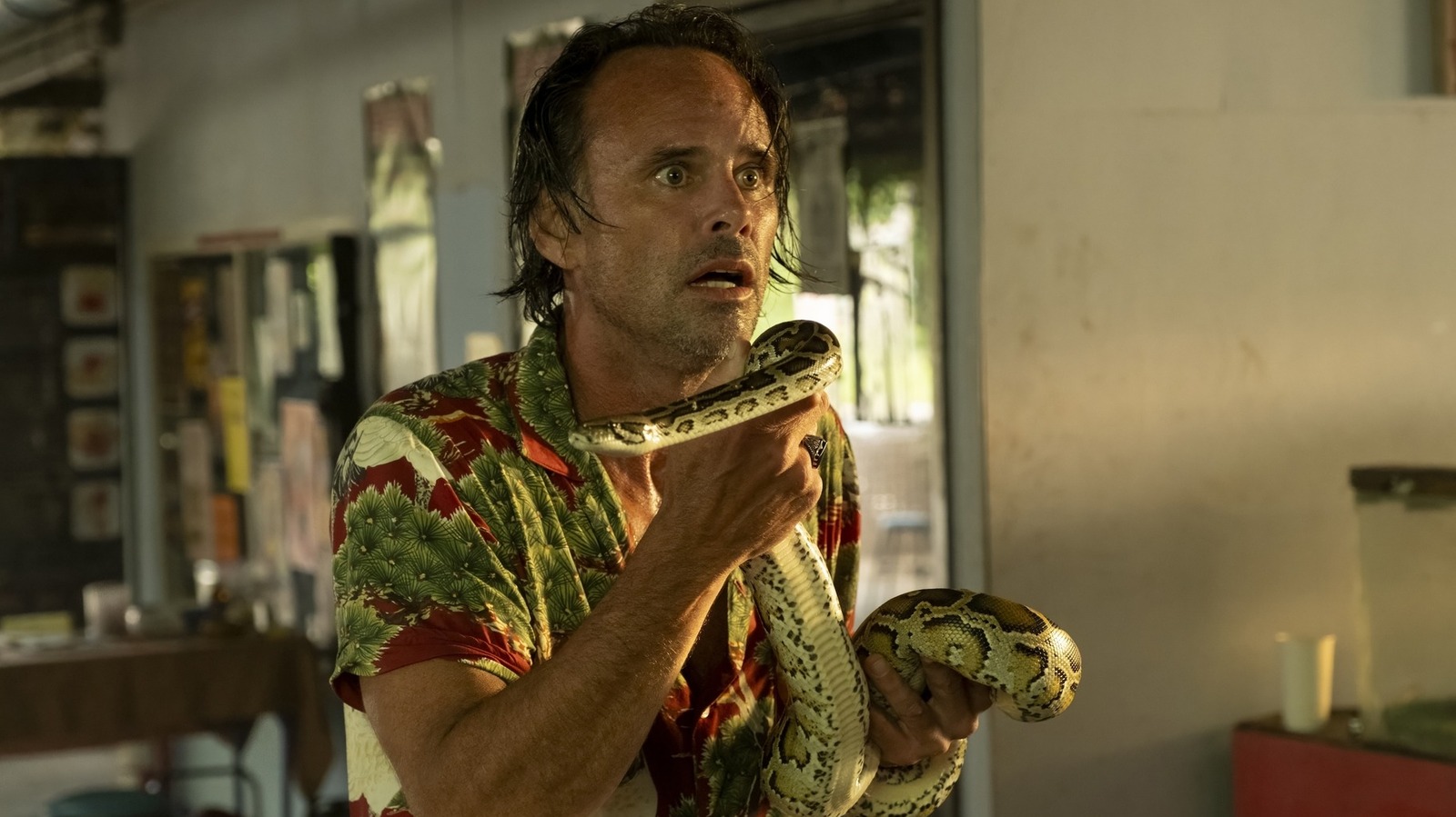 The White Lotus Season 3 Scene That Sent Walton Goggins To The Hospital