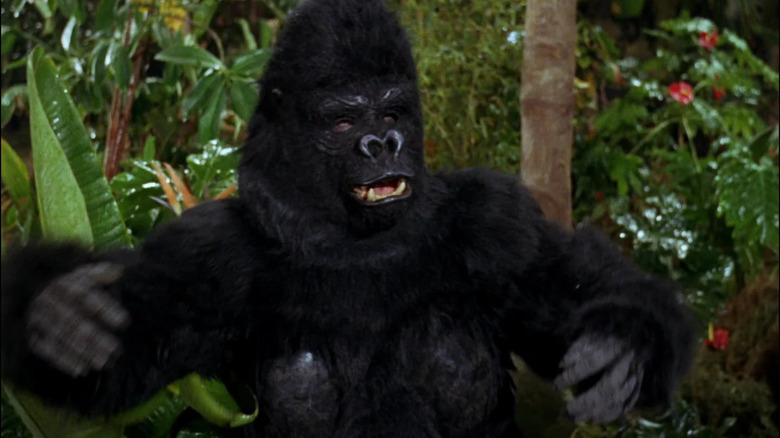 A man in a gorilla suit, being aggressive.