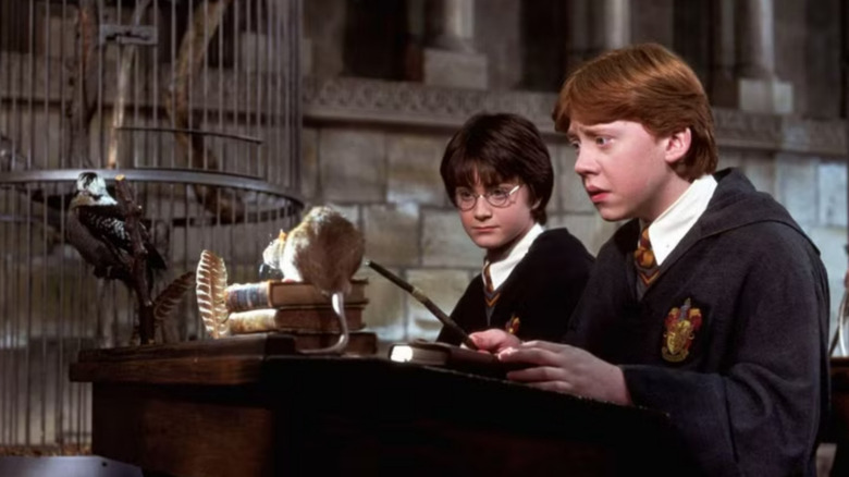 Harry Potter and the Chamber of Secrets, Harry and Ron in divination class