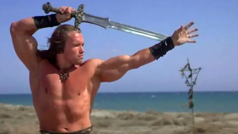 Arnold Schwarzenegger Conan the Barbarian