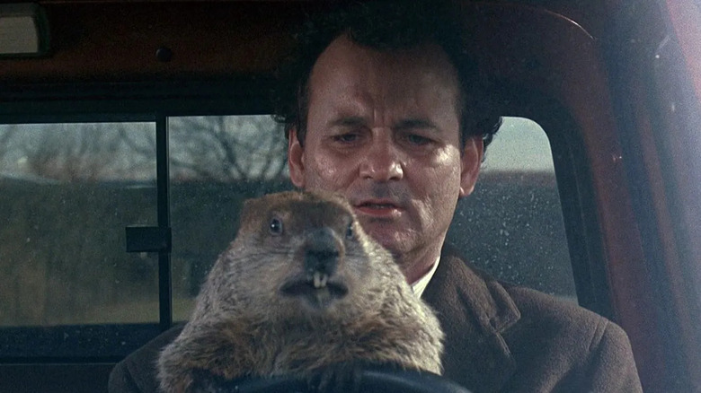 Bill Murray driving with groundhog Groundhog Day