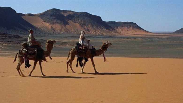 Mon on camels in desert