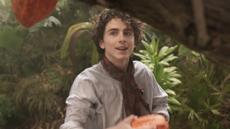 Timothee Chalamet Wonka