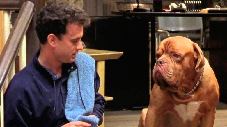 Tom Hanks and dog sitting