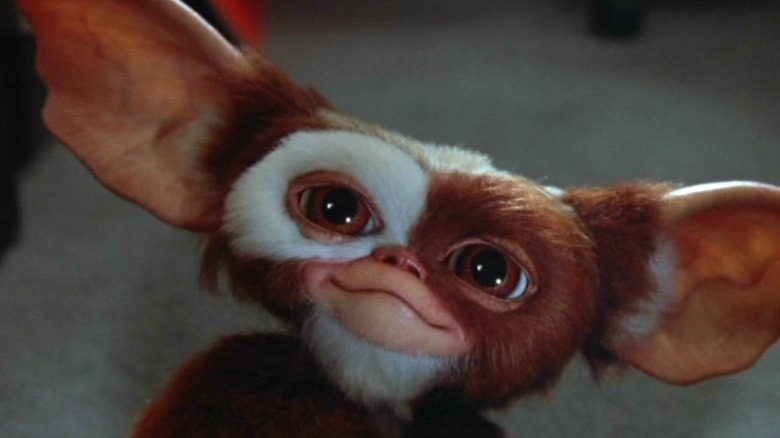 Gizmo smiling in Grremlins