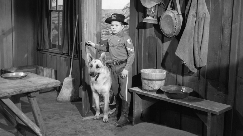 Rin Tin Tin IV and a boy in a ranger outfit standing in a cabin doorway in 