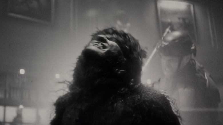 Werewolf by Night Jack Russell 