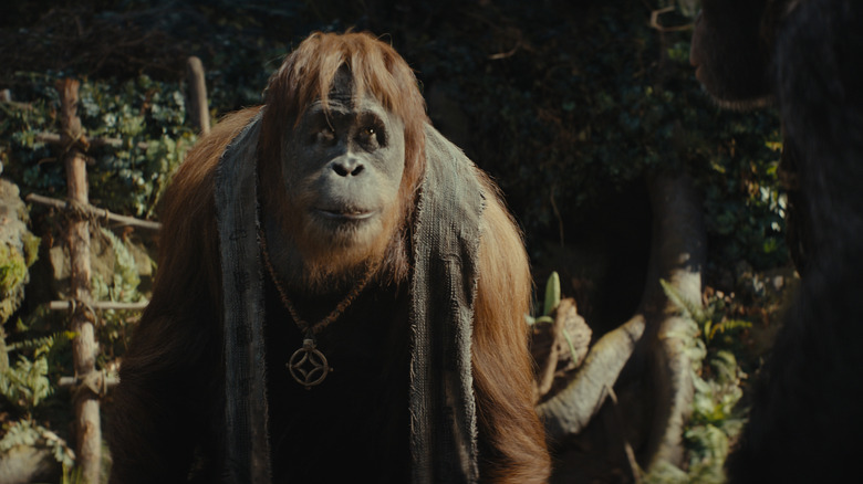 Raka, Kingdom of the Planet of the Apes