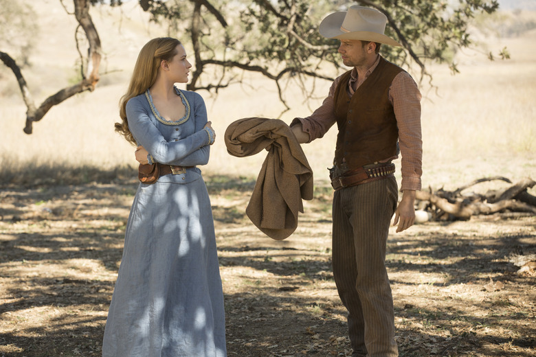 westworld dissonance theory jimmi simpson evan rachel wood