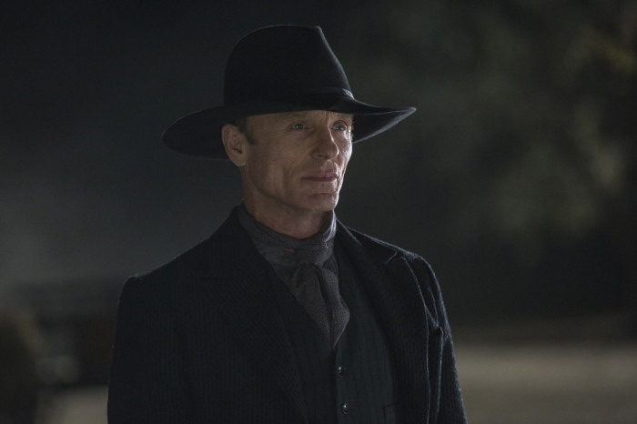 Ed Harris in Westworld