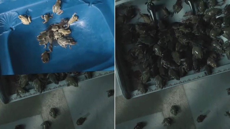 Frogs crawling out of the sink drain in Penny Dreadful