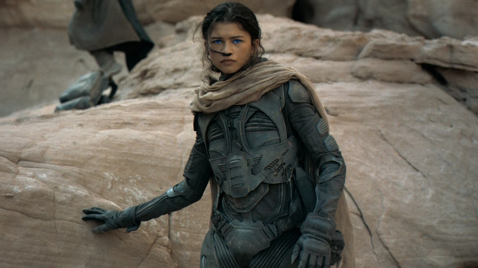 What Happens To Zendaya's Chani In The Dune Books