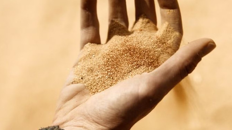 A hand holding spice and sand in Dune