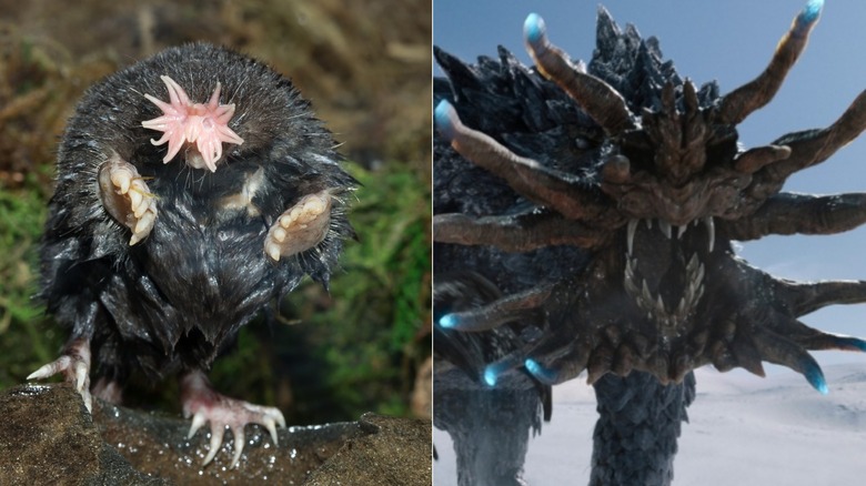 Side-by-side of a star-nosed mole and the Frost Vark from Monarch: Legacy of Monsters