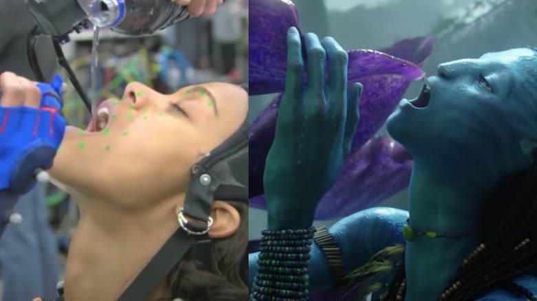 Neytiri drinking water