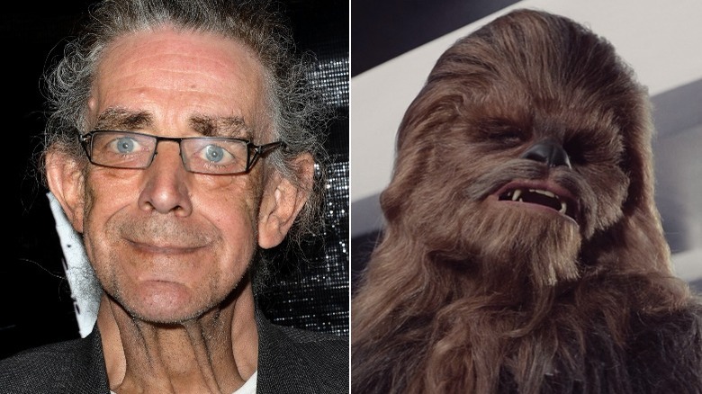 Peter Mayhew and Chewbacca