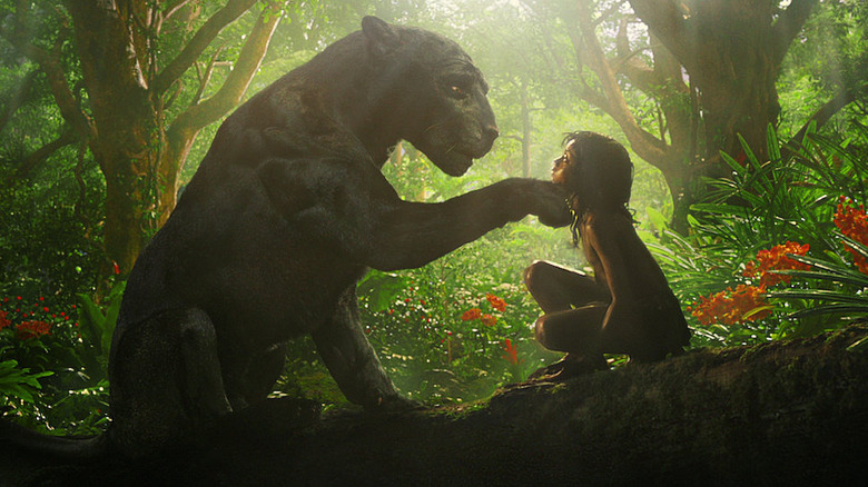 Bagheera touches Mowgli's face