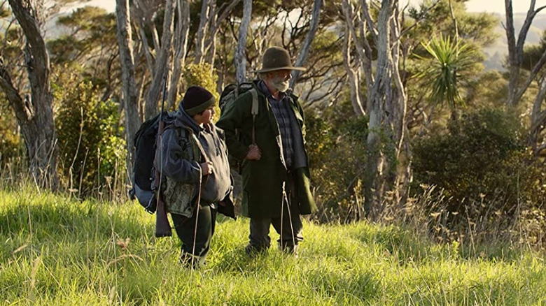 The New Zealand bush from Hunt for the Wilderpeople