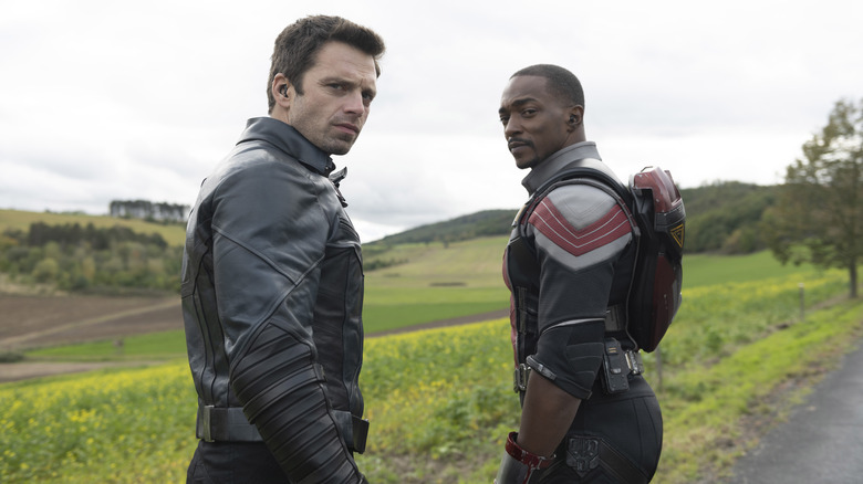 The Falcon and the Winter Soldier