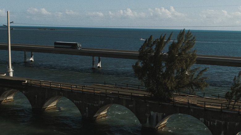 Fred the Tree on the Seven Mile Bridge in Florida in Road House