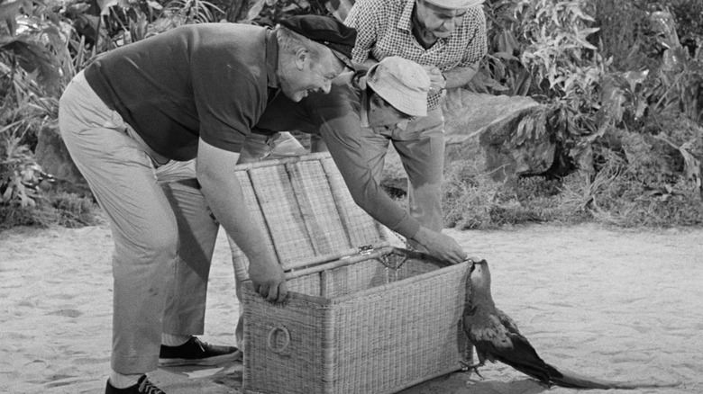 The Skipper, Gilligan, and Mr. Howell feeding a macaw in Gilligan's Island