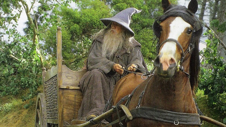 Gandalf riding into the Shire in The Fellowship of the Ring