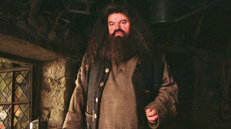 Robbie Coltrane as Rubeus Hagrid