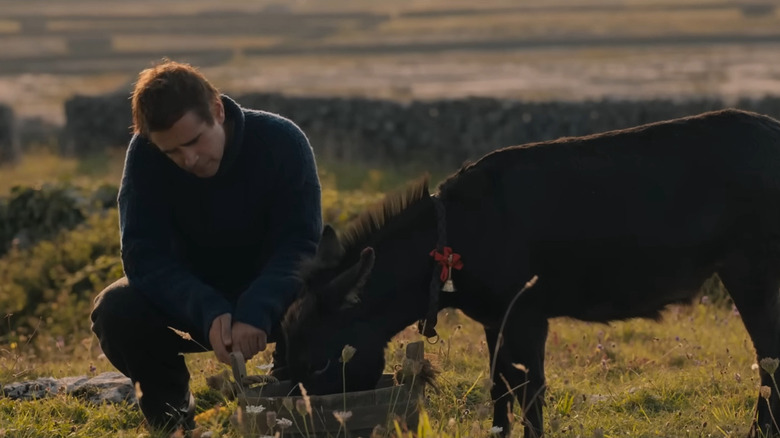 The Banshees of Inisherin Colin Farrell Jenny the Donkey