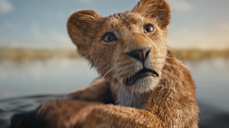 Young Mufasa looking shocked in Disney's Mufasa: The Lion King