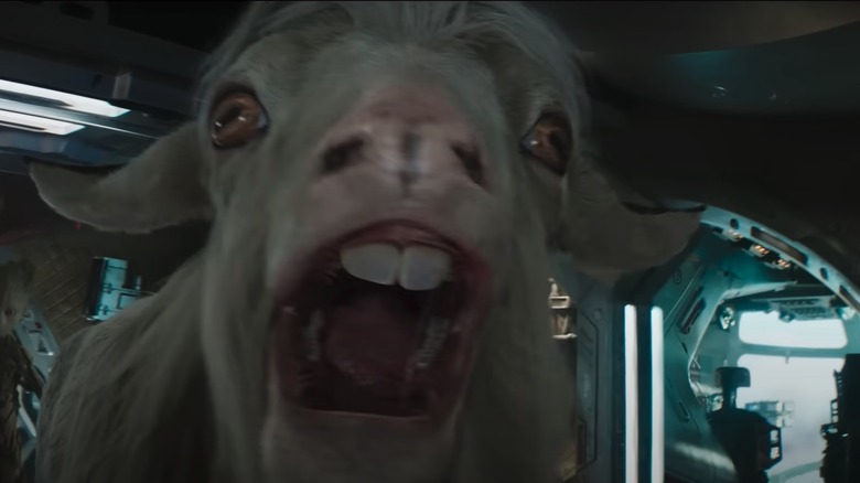 Goat from  Thor: Love and Thunder