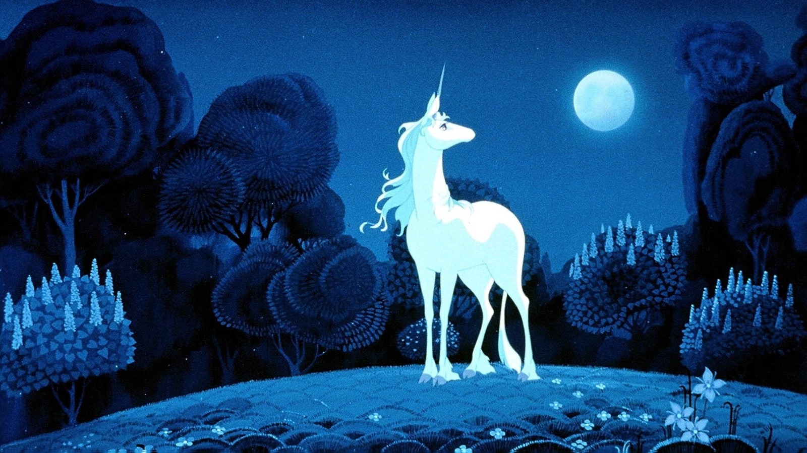 The Last Unicorn' Inadvertently Defines My Life | The last unicorn, Unicorn,  Unicorn photos