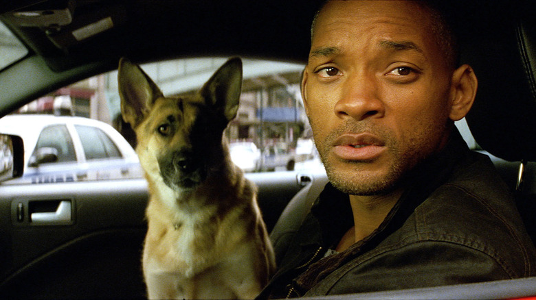 Dr. Robert Neville and his pup survey the apocalypse in I Am Legend