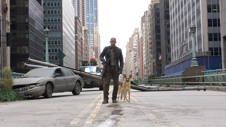 I Am Legend dog