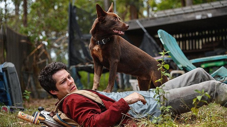Dylan O'Brien as Joel with the goodest Boy 