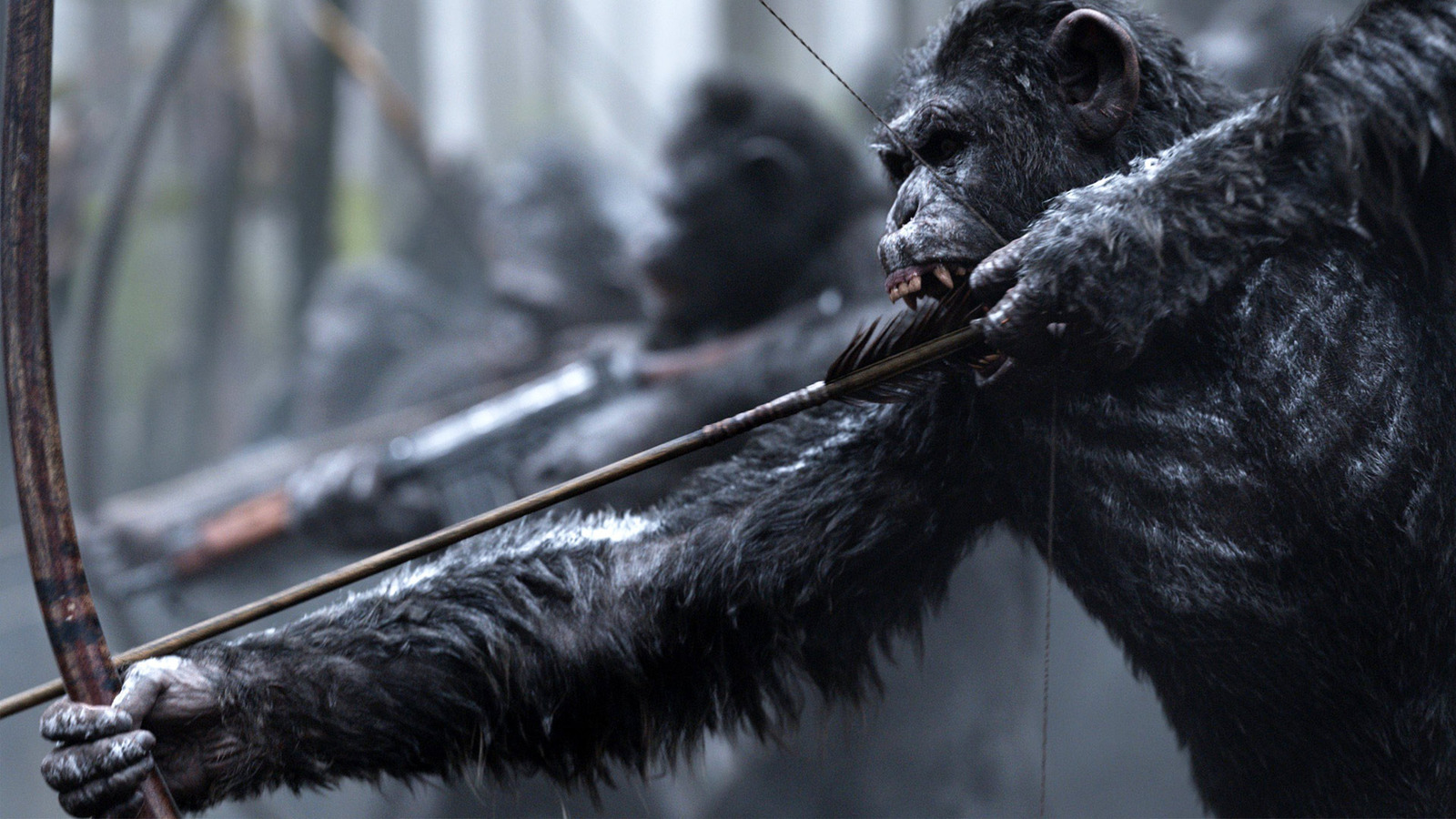 Will There Be A Sequel To War For The Planet Of The Apes Here S What We Know