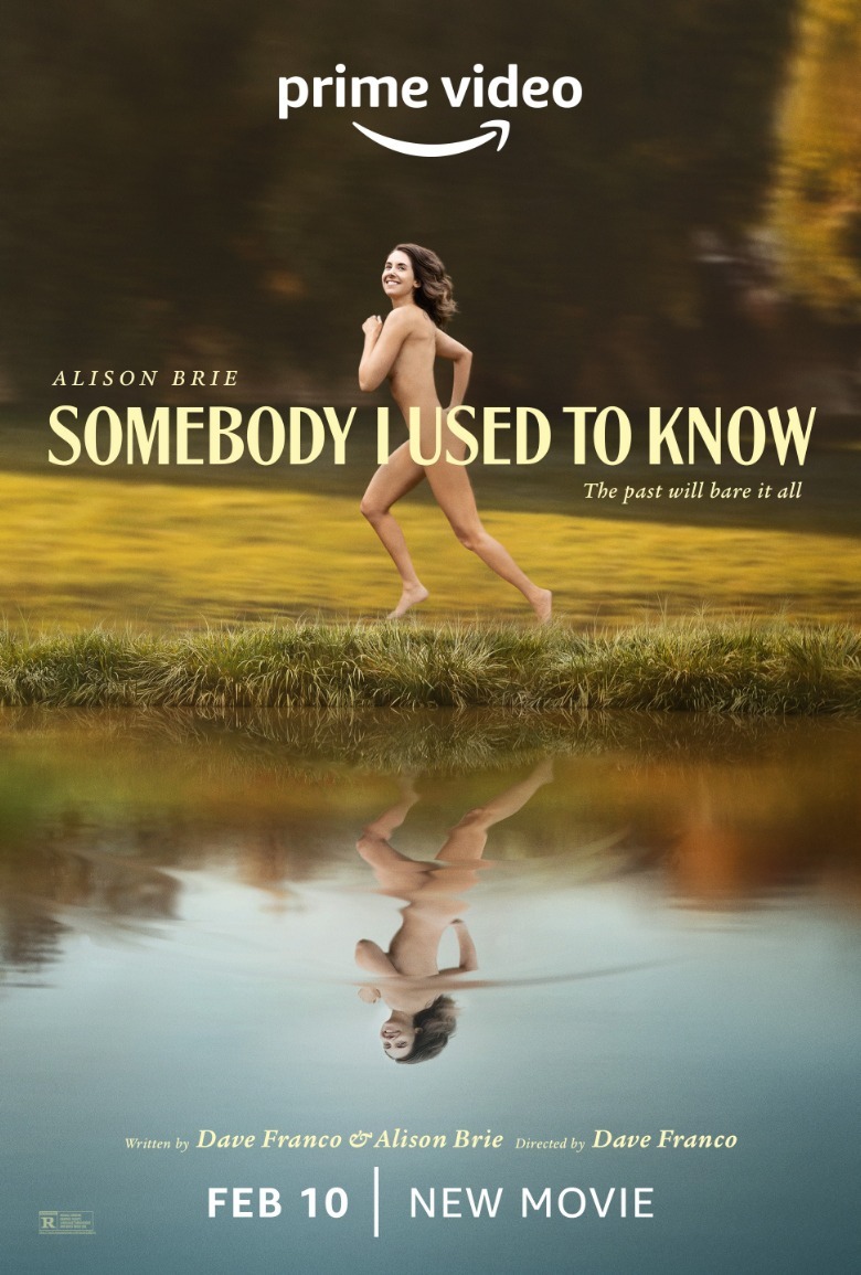 Somebody I Used To Know poster