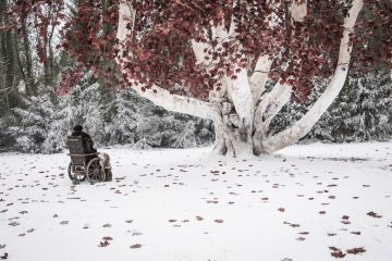 Bran Tree Game of Thrones