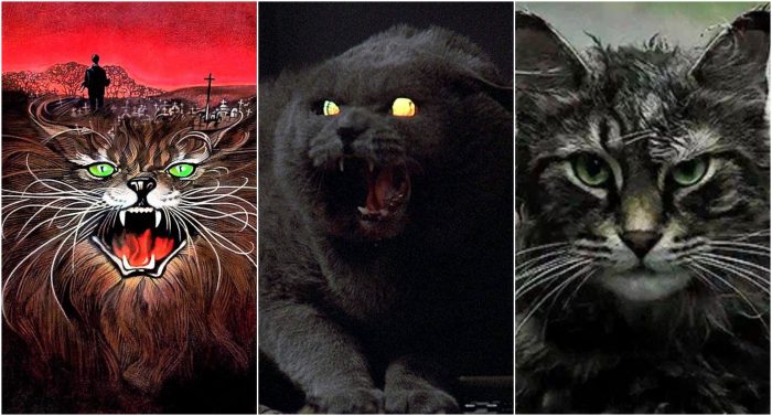 Pet Sematary Book vs Film