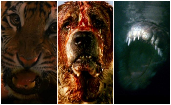 Killer Animal Movies