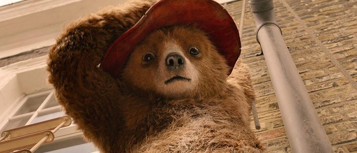 Paddington 2 bear