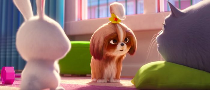 The Secret Life of Pets 2 trailer