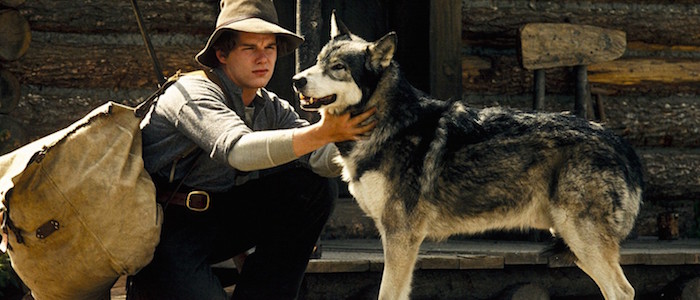 Out Of The Disney Vault White Fang Revisited Film