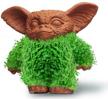 Gremlins Chia Pet