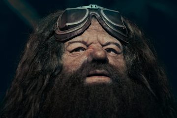 Universal Studios Animatronic Hagrid