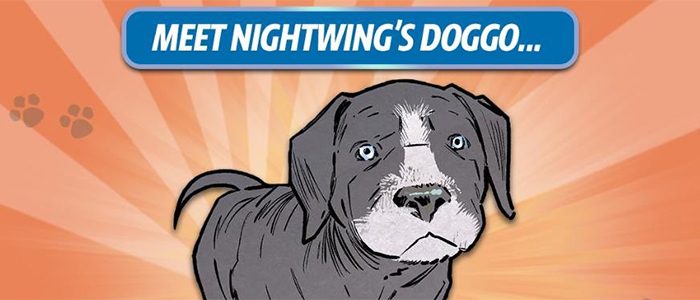 Nightwing's Dog Haley